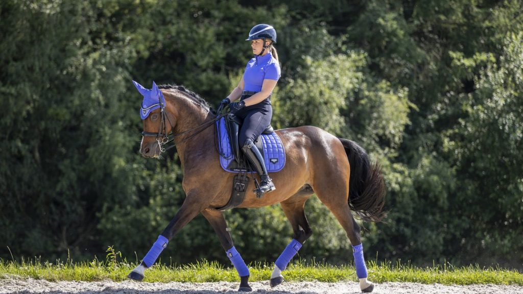 LeMieux Tapis de selle Loire memory satin Bluebell - Dressage complet (L
